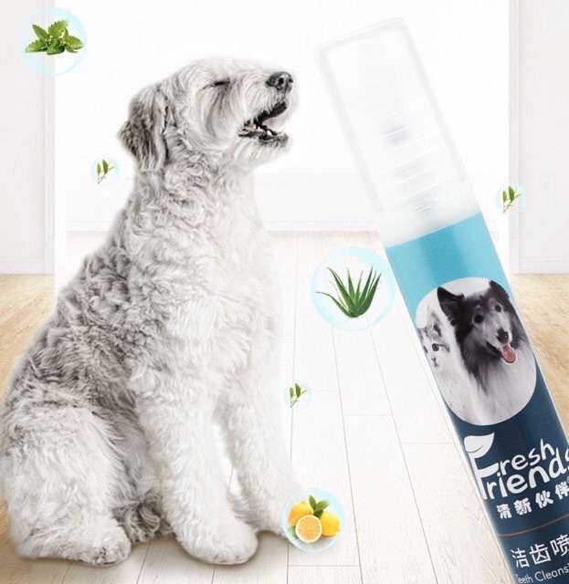 👏🎨 XỊT THƠM MIỆNG CHÓ MÈO FRIEND^^