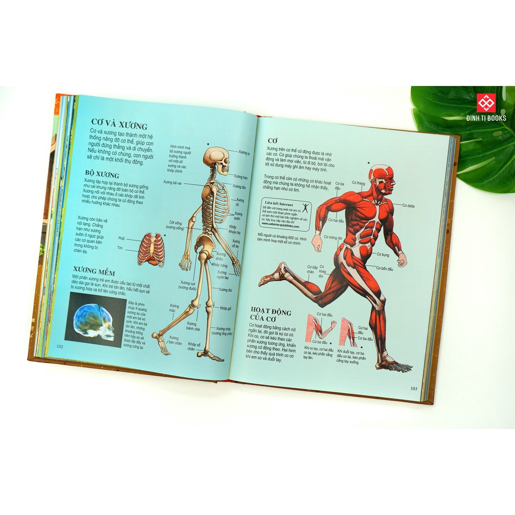 Sách - Bách khoa tri thức dành cho trẻ em