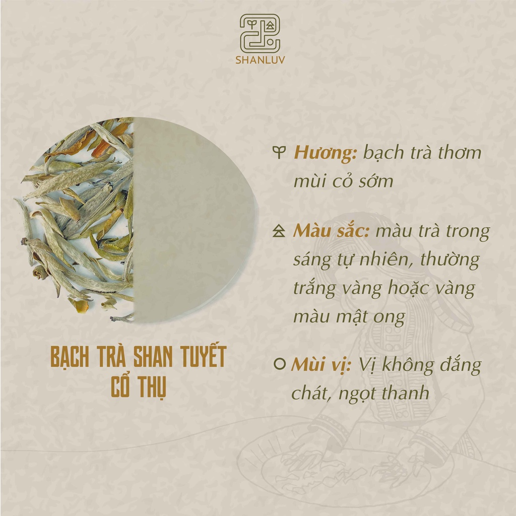 Trà Shan Tuyết Cổ Thụ Cây 300 Tuổi Hà Giang 10 loại SHANLUV Thơm Mật Hậu Ngọt, Bền Nước 8gr | BigBuy360 - bigbuy360.vn