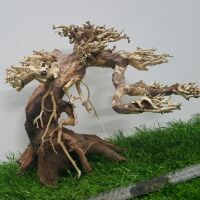 Lũa bon sai cấy rêu (dài25cm cao 15cm)