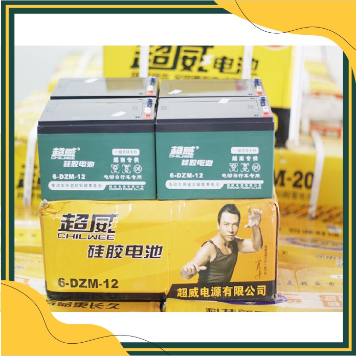 Bình acquy xe đạp điện