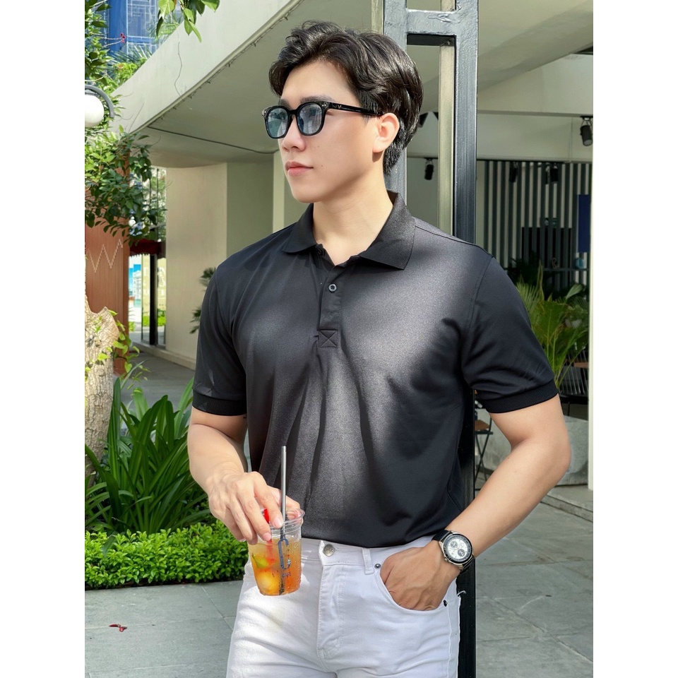 Áo polo nam trơn  cổ bẻ 5 màu vải cá sấu Cotton xuất xịn,chuẩn form, sang trọng - thanh lịch TB010