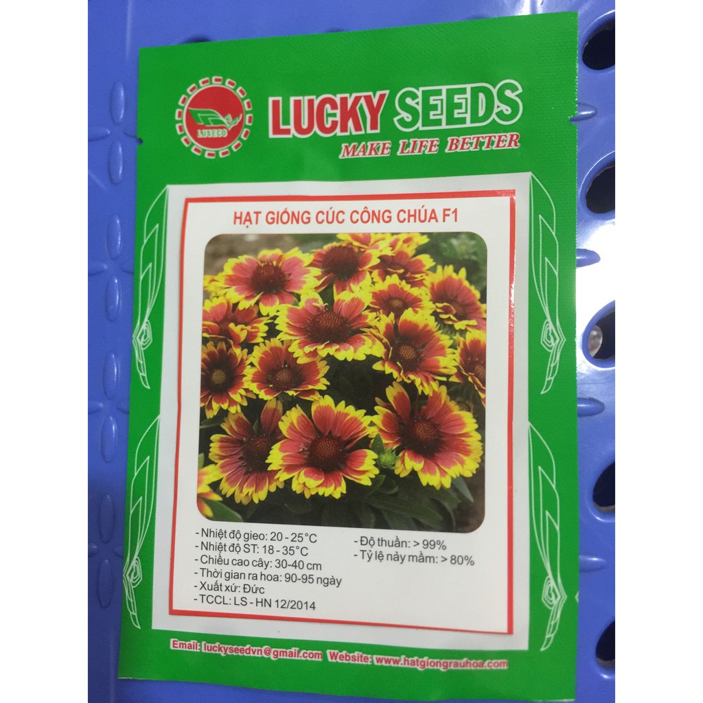 Hạt giống hoa cúc công chúa LUCKY SEED