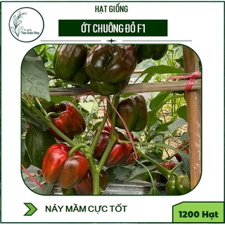 Hạt Giống Ớt Chông Đỏ F1 Gói 1200 Hạt