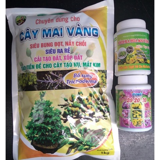 Combo 3 phân bón kích ra hoa Mai cực mạnh (phân mai,20-20-20,kích ra mai vàng)