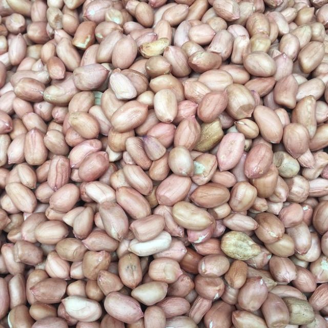 Túi 500 gr đậu phộng non