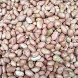 Túi 500 gr đậu phộng non