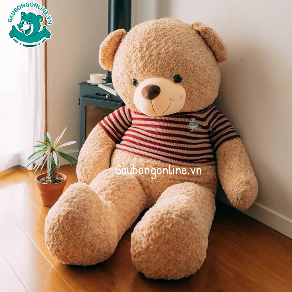 Gấu Bông Teddy Logo Baby Khổng Lồ Làm Quà Tặng, Gấu Bông Online Cao Cấp