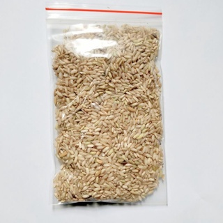 Thuốc diệt chuột trộn sẵn hạt gạo gói 100g hiệu quả diệt chuột cực nhanh