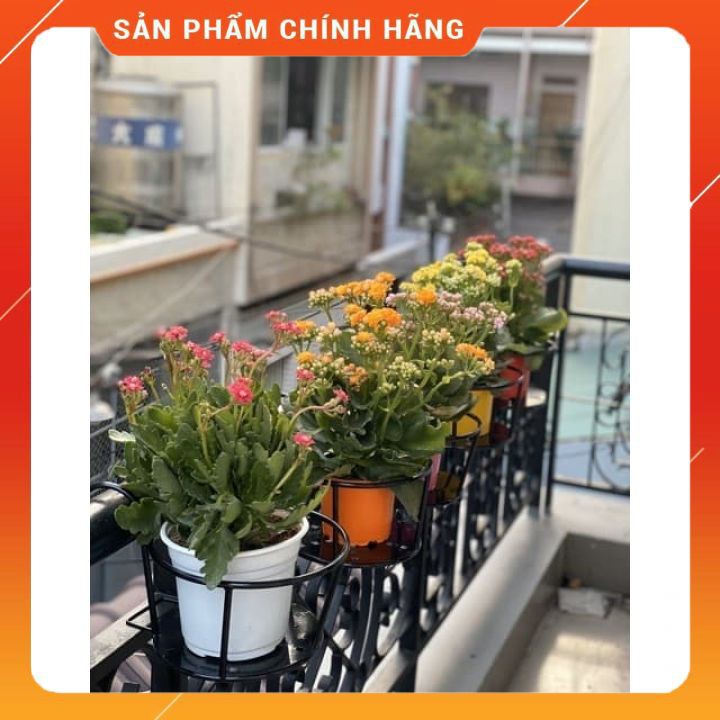 GIỎ SẮT TREO HOA BAN CÔNG - HÀNG ĐẸP SƠN TĨNH ĐIỆN [FREESHIP]