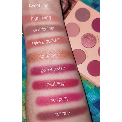 Bảng phấn mắt ColourPop Fine Feathered (Bill Mỹ - Có Sẵn)