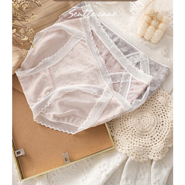 Quần lót nữ cotton mix viền ren họa tiết sexy quyến rũ, siêu thấm hút màu sắc tươi sáng Missie Q02