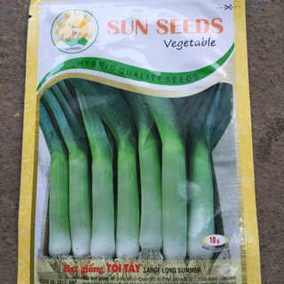 10g HẠT GIỐNG TỎI TÂY SUN SEEDS