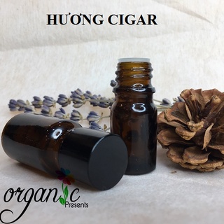 HƯƠNG CIGAR N/A