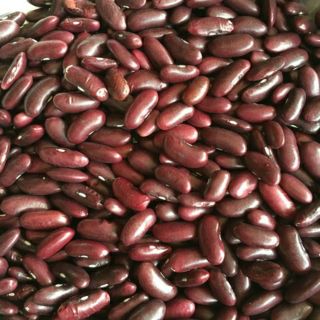 Đỗ đỏ quê hạt to, thơm, bở