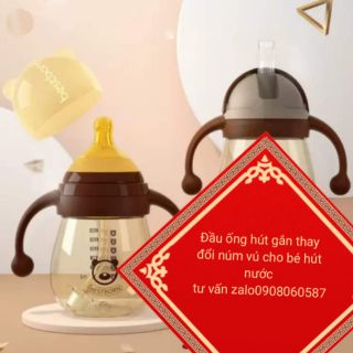 Bộ bình gấu có sẵn
