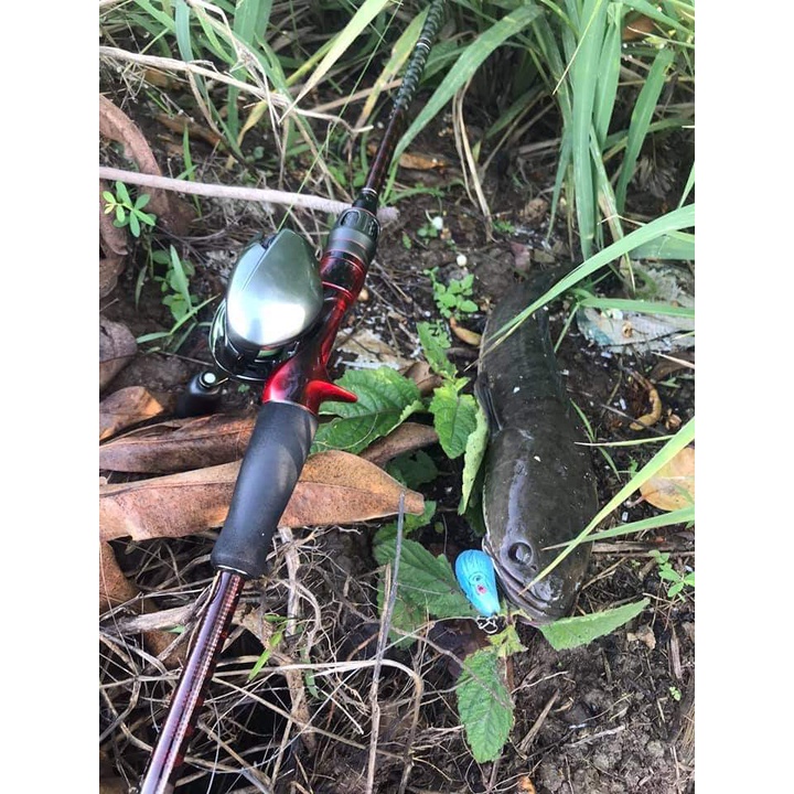 CÁM HUỲNH KHOA CÂU CÁ SIÊU NHẠY- MỒI CÂU CÁ HUỲNH KHOA TRA,TRÊ,MÈ,CHÉP,RÔ PHI