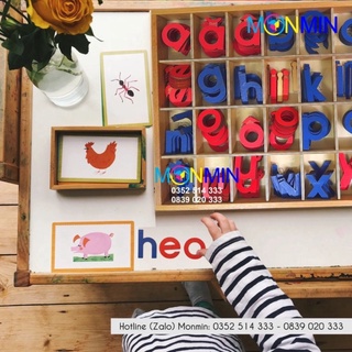 Chữ di động Tiếng Việt - Nét in thường - Học ghép chữ thành câu - Giáo cụ Montessori