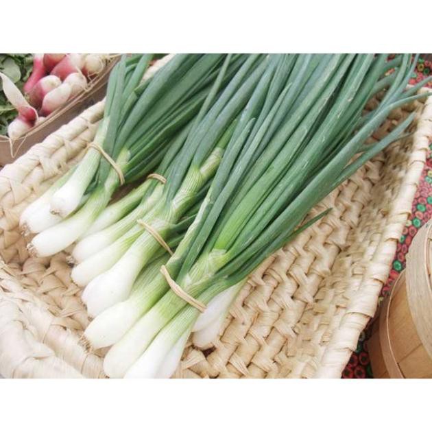 Gói 5 gr hạt giống hành ta