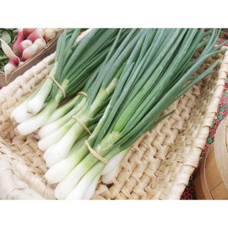 Gói 5 gr hạt giống hành ta