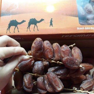 Chà là nguyên cành Deglet Nour Israel.