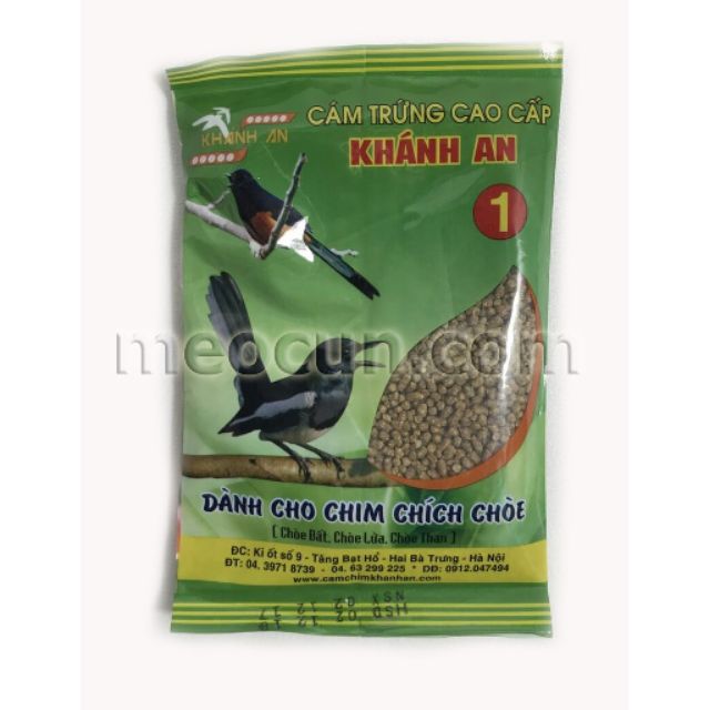 Cám trứng cao cấp dành cho chim chích chòe