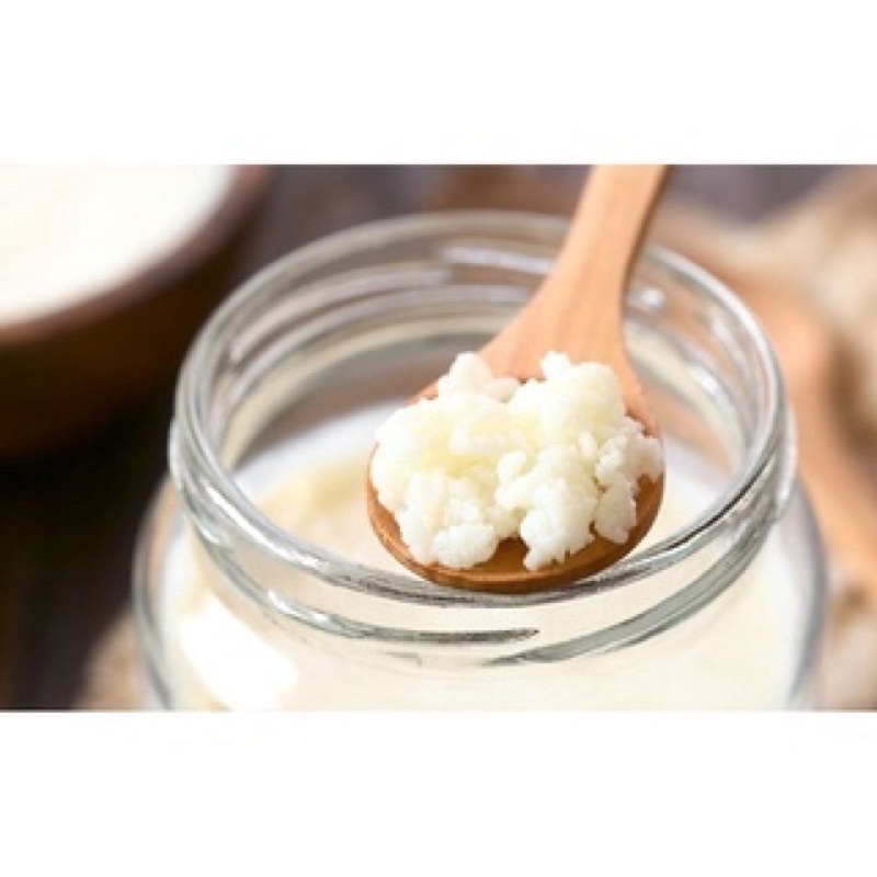 Nấm Kefir Làm Sữa Chua / Nấm Tuyết Tây Tạng và Dụng Cụ Làm Sữa Chua tại nhà
