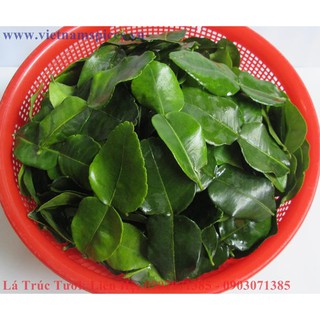 Lá Trúc khô (lá chanh thái) 100gram