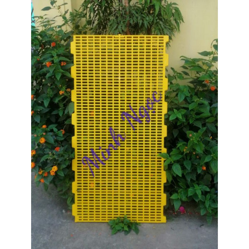 Sàn nhựa dùng trong chăn nuôi
