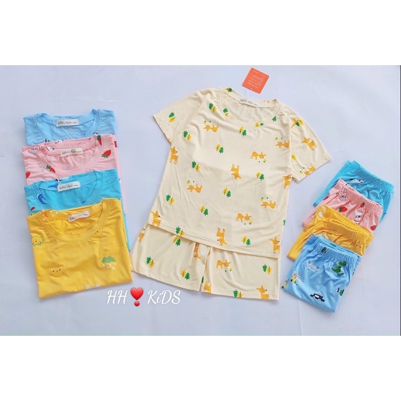 Bộ thun lạnh size nhỡ