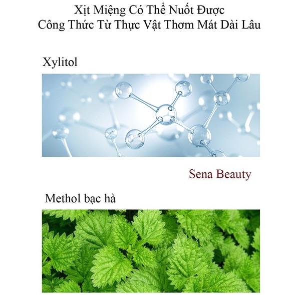 Xịt thơm miệng  Heyxi khử mùi hôi miệng vị đào vị bạc hà - Chai xịt miệng 15ml  nhỏ gọn tiện lợi