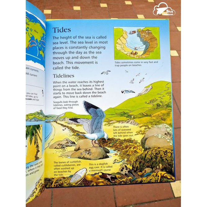 Sách Usborne - Bách khoa toàn thư cho bé 6-8 tuổi 1ST ENCYCLOPEDIA SEAS OCEANS