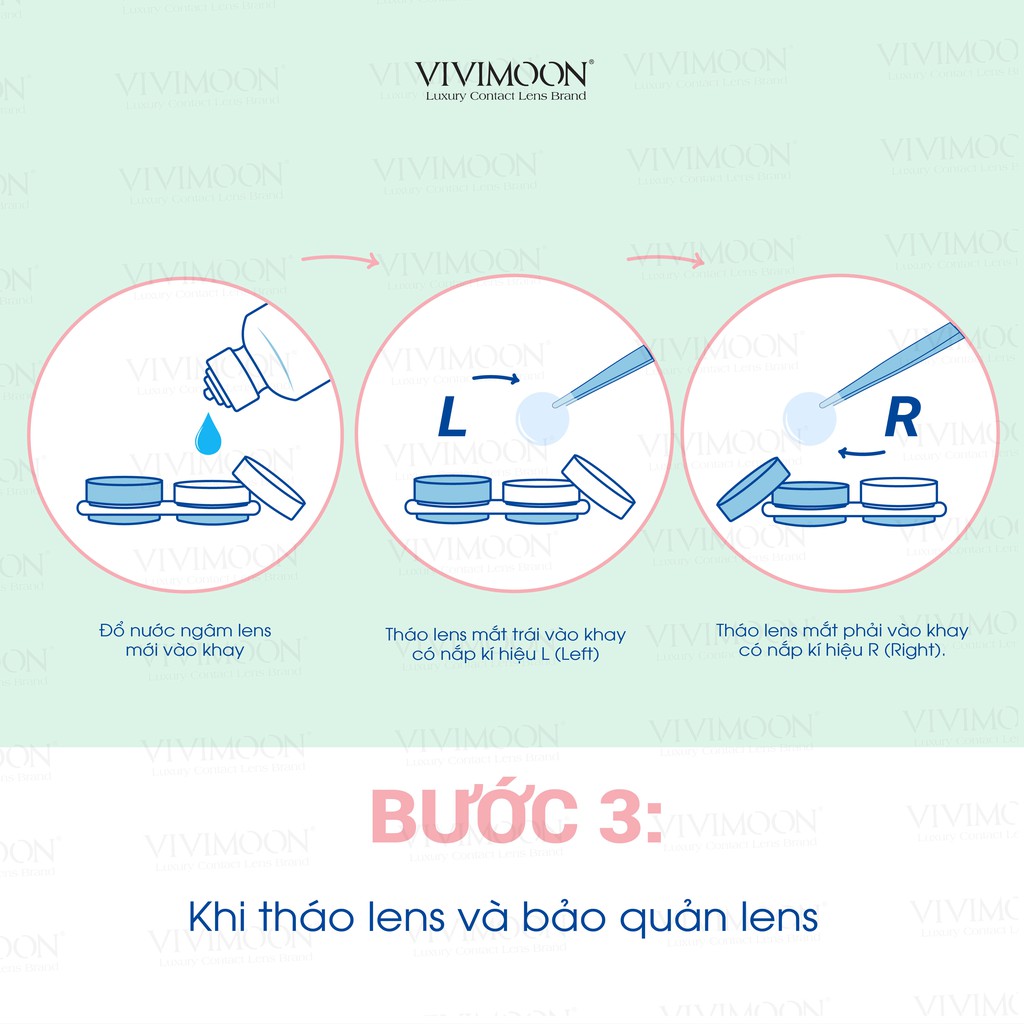 Khay đựng lens đôi Vivimoon họa tiết xương rồng