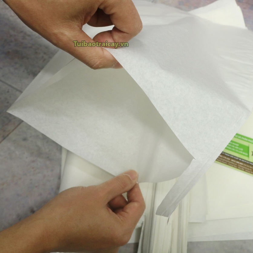 Túi trùm trái cây, bao bọc bưởi Da Xanh giấy sáp siêu bền cỡ 30x35cm - 100 cái