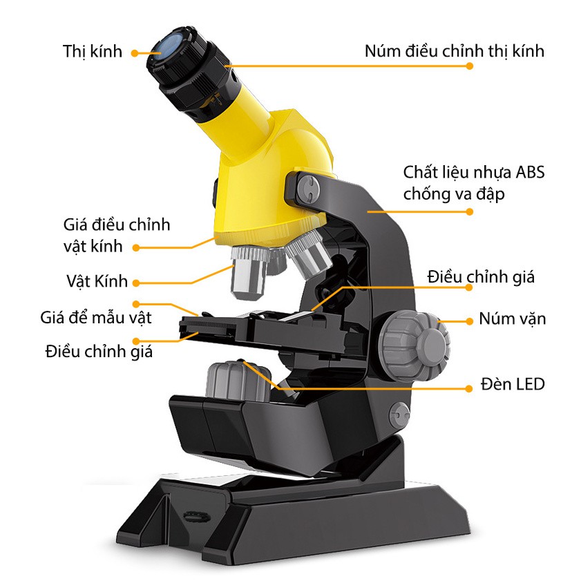 Bộ kính hiển vi soi mẫu vật sống 1200X - Đồ chơi giáo dục STEM - Dùng nghiên cứu khoa học cho bé - Lado shop