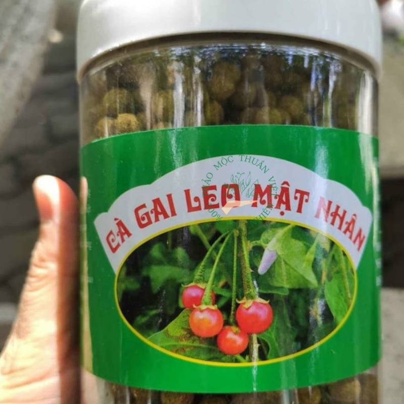 Viên cà gai leo mật nhân