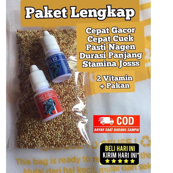 Bán Chạy Nhất (COD) Gói Hoàn Chỉnh Super Gacor Bà Bà Bà Tuổi Thọ Cao Durasi