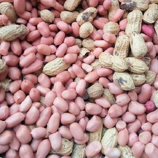 10Kg Đậu lạc/Đậu phộng