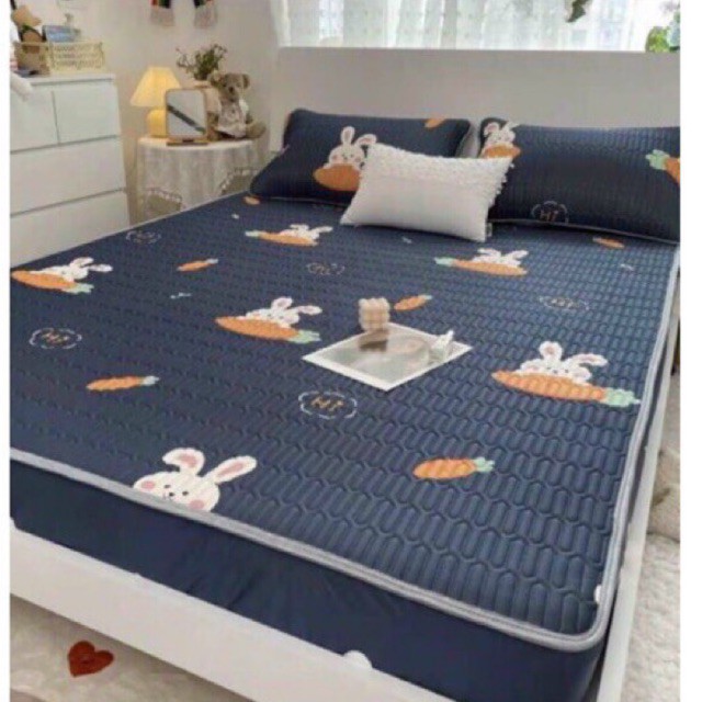 CHIẾU ĐIỀU HÒA TENCEL LATEX CAO SU NON in 3D siêu mát tặng kèm 2 vỏ gối