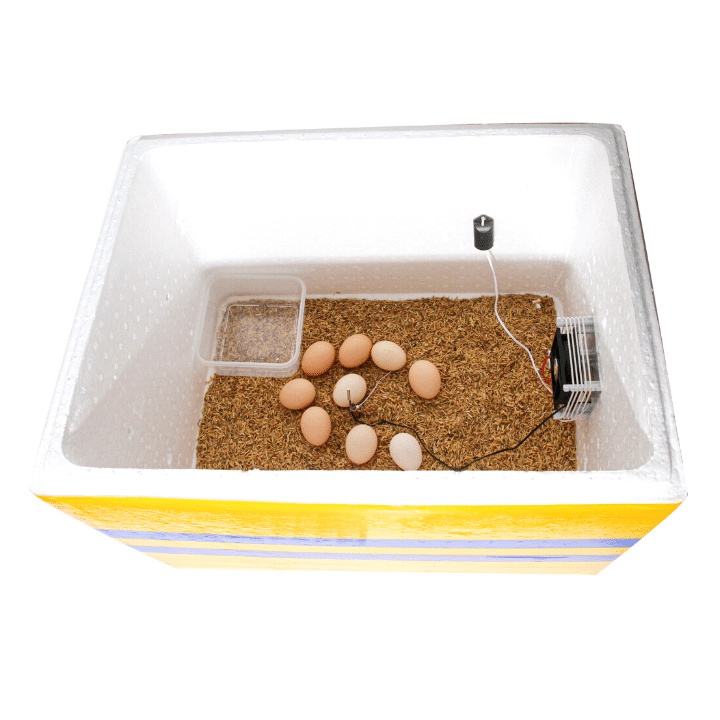 Máy ấp trứng mini Ánh Dương P100 - 100 trứng gà tự đảo tay bảo hành 1 năm chính hãng