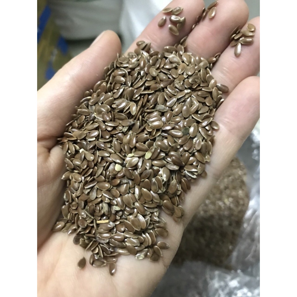 100gr Hạt lanh nâu cho chim vẹt, finch, yến hót, cu gáy
