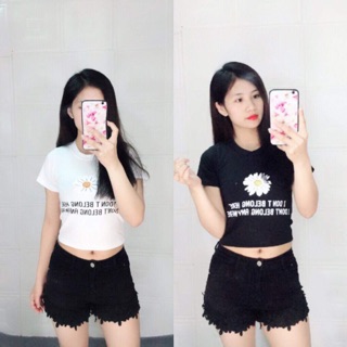 Áo croptop nữ hoa cúc H&S