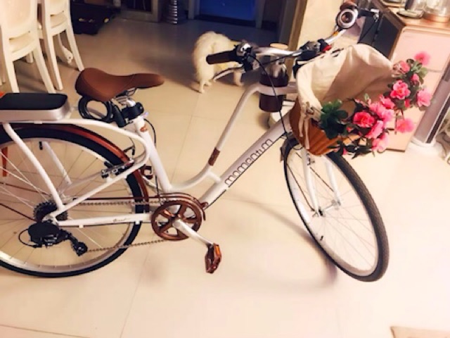 Xe đạp momentum 2019