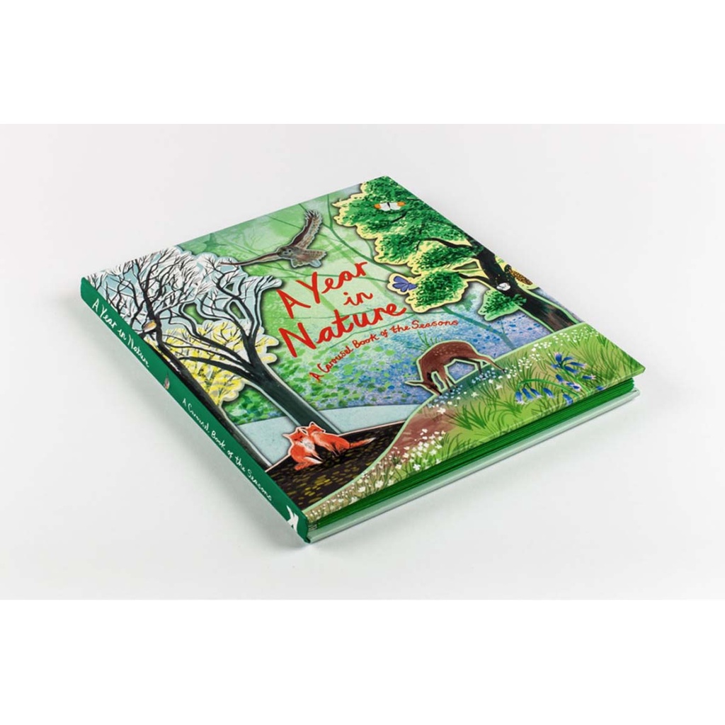 Sách - A Year in Nature: A Carousel Book of the Seasons (Pop-Up)