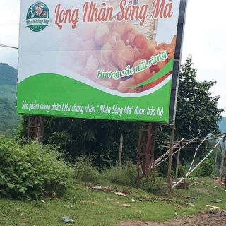 Long nhãn Sông Mã Sơn La. Thơm, ngon đặc trưng của vùng đất Sơn La. Cam kết chất lượng và nhận hàng ưng ý. Cảm ơn mn ạ.