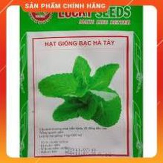 Hạt giống bạc hà tây gói 0,1g