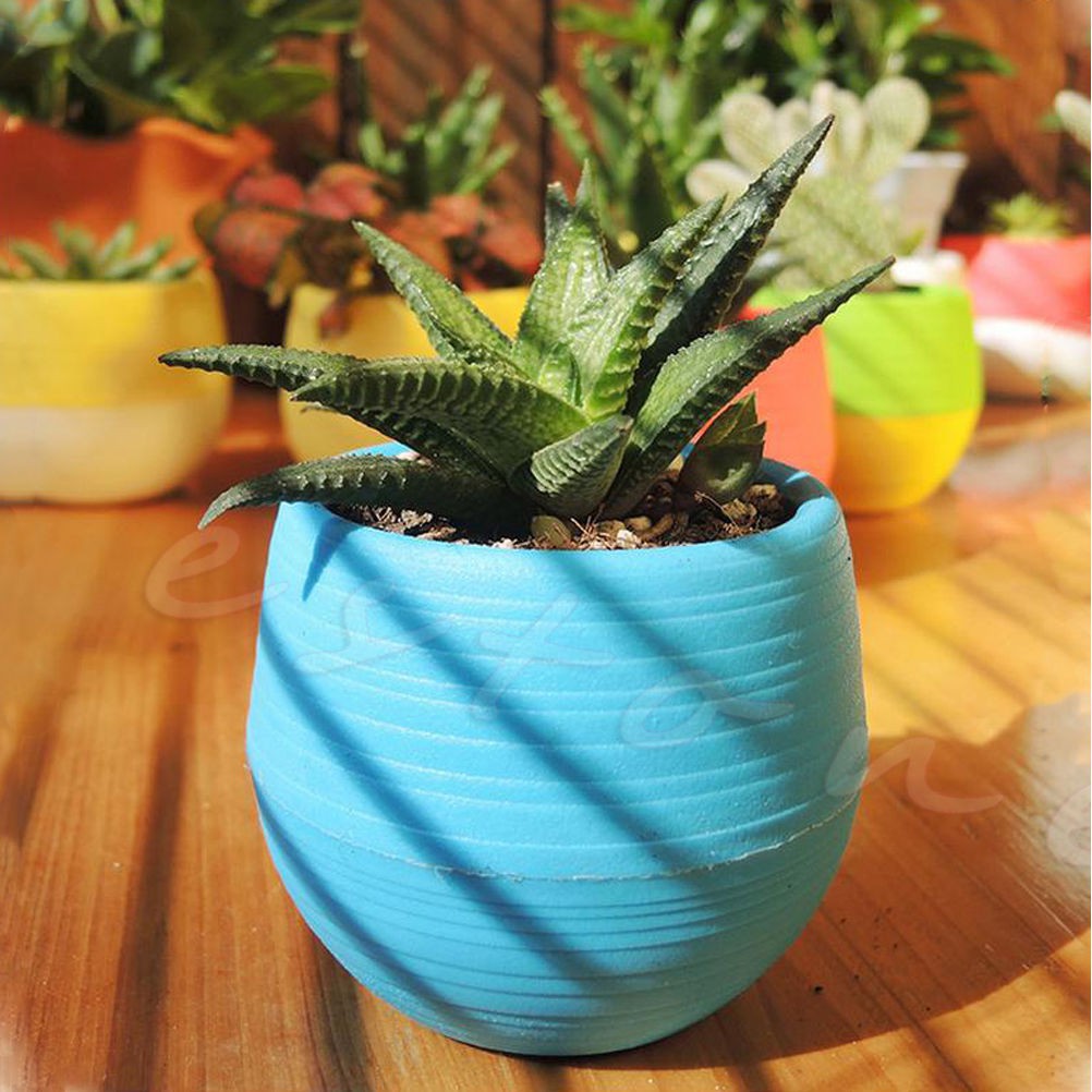 Chậu hoa / cây / sen đá bằng nhựa mini hình tròn 7*7cm nhiều màu sắc thân thiện với môi trường cho nhà / văn phòng