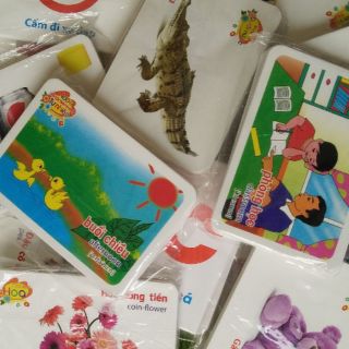 Lô tô mầm non các chủ đề KT 7x10cm (túi 25 quân - 25 hình)