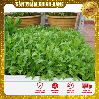 Hạt Giống Cải Cúc Nếp(20gr)