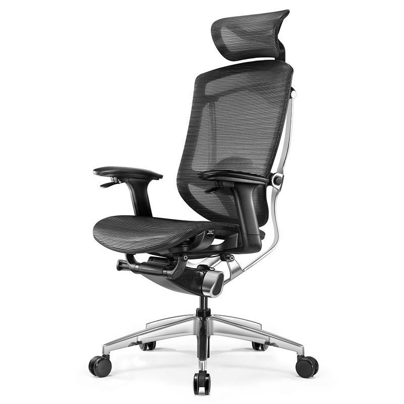 Ghế Công Thái Học Ergonomic GTChair Marrit X Đen - Bản 5D